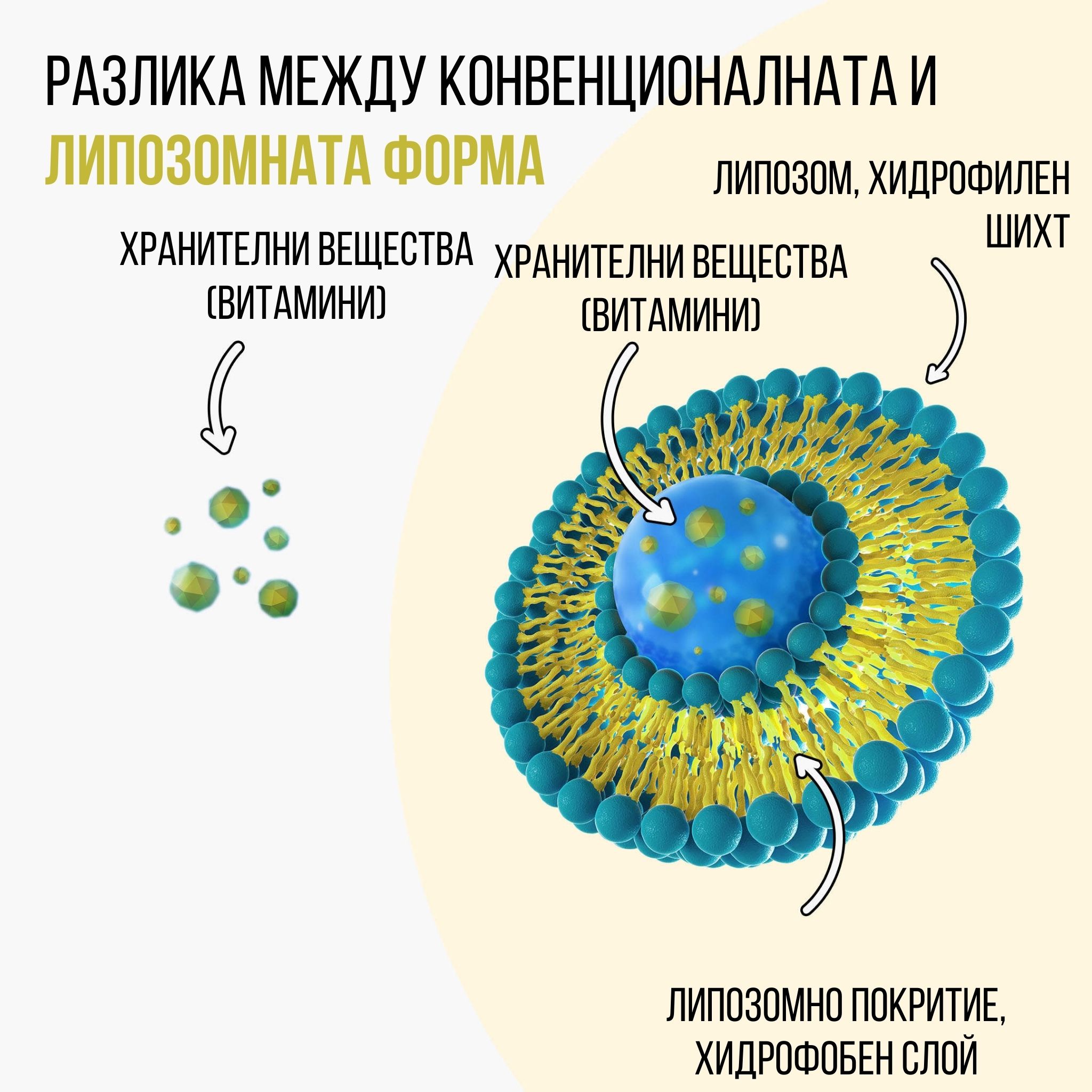 (Bulharština)